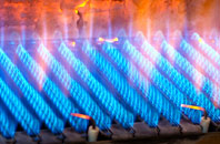 Highampton gas fired boilers
